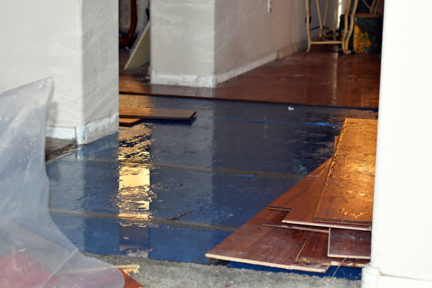 Professional Ceiling Water Damage Repair technician working in Monticello, WI
